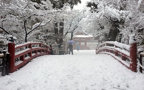 Snow in Japan Around 300 flights cancelled