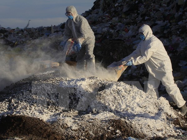 Avian flu recorded in North America