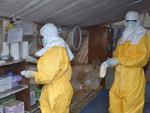 WHO Three weeks since last Ebola case in Mali