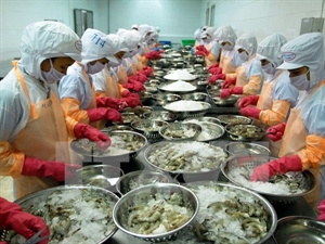 Seafood export enjoys trade surplus of USD5 billion