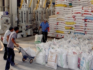 Vietnam, Algeria aim for USD1 billion in two-way trade by 2020