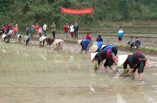 Specific cultural characteristics of Tay ethnic group in Quang Ninh province