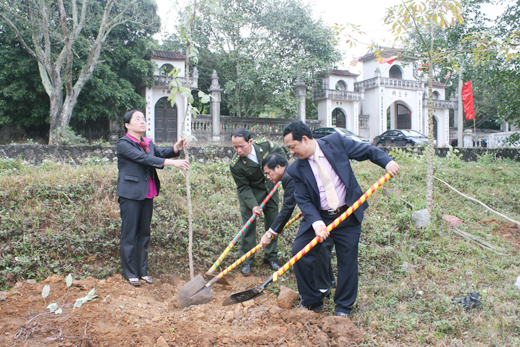 Tree planting festival launched in Dong Trieu district