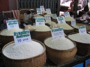 Thai rice exporters see higher 2014 shipments