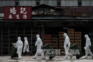 FAO warns of cross-border bird flu risk from China