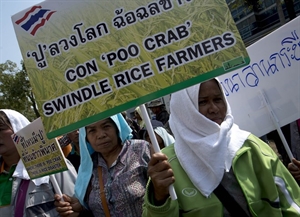 Thai PM pledges to pay rice debts