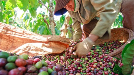 Making use of EU regulation to boost exports