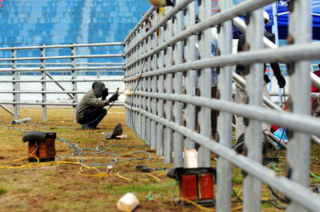 Buffalo fighting festival to be held Phuc Tho district