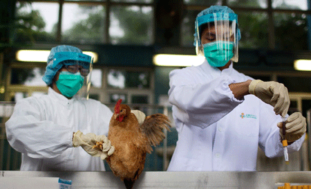 Trung Quốc Dịch cúm gia cầm H7N9 diễn biến phức tạp