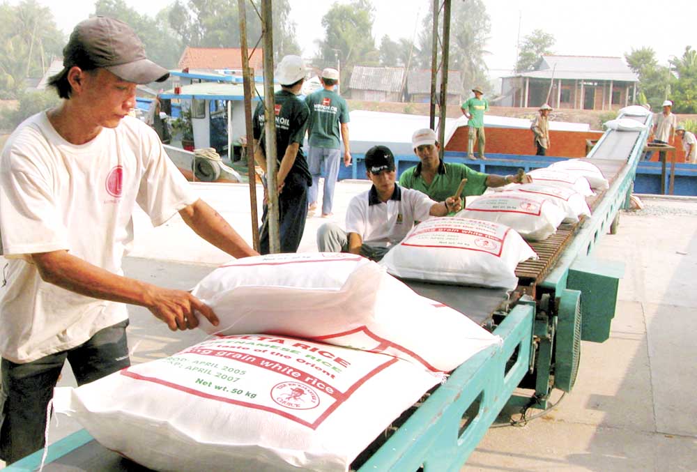 Fund to assist rice production and export to be established