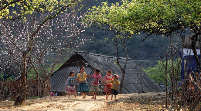 Les couleurs du printemps sur le haut plateau de Môc Châu