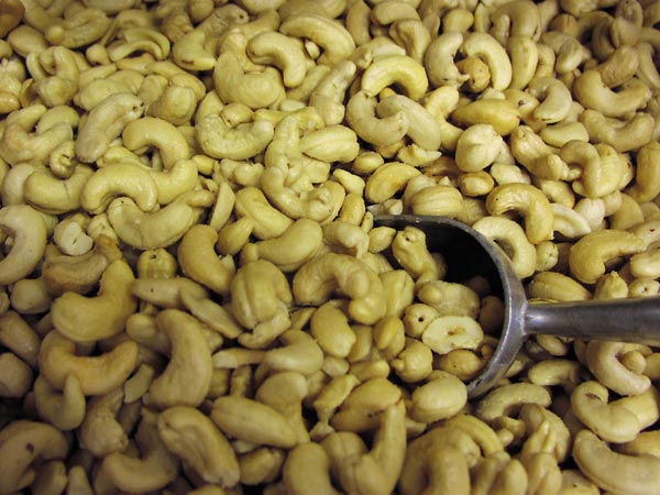 Vietnam world’s top cashew nut exporter