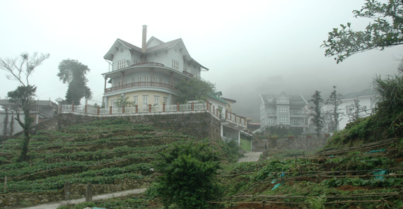 Tam Đảo - thị trấn trong sương