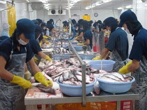 Vietnam needs to restructure tra fish sector