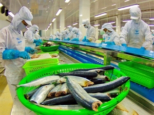 Tra fish exports to ASEAN surge