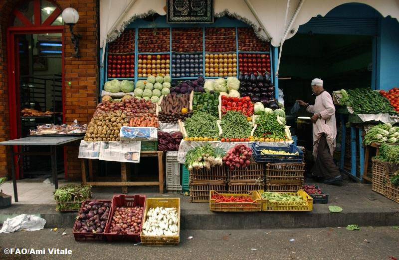 Les prix alimentaires en forte hausse en février – FAO