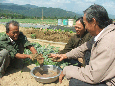 Phú Yên Người trồng dưa phát hiện lượng lớn phân bón giả
