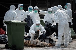 Thêm một trường hợp nhiễm cúm H7N9 tại Hong Kong