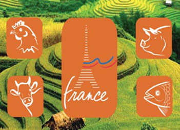French companies seek Vietnamese partners in livestock industry sector