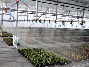 Agricultural support agreement reached with UN