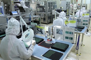 Ho Chi Minh city sees start of year bump in FDI