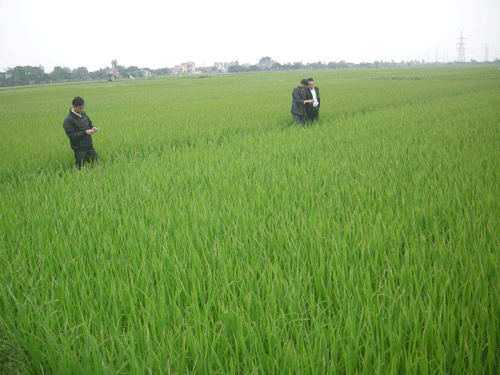 Ra sức phát triển nông nghiệp hướng đến nâng cao đời sống nông dân