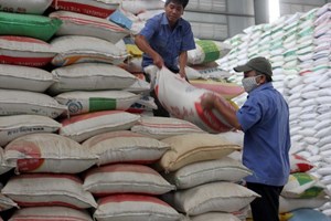 Can Tho exports 193,000 tonnes of rice