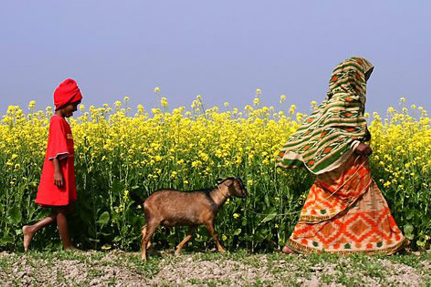 Journée de la terre nourricière l’ONU exhorte à la protection de la planète