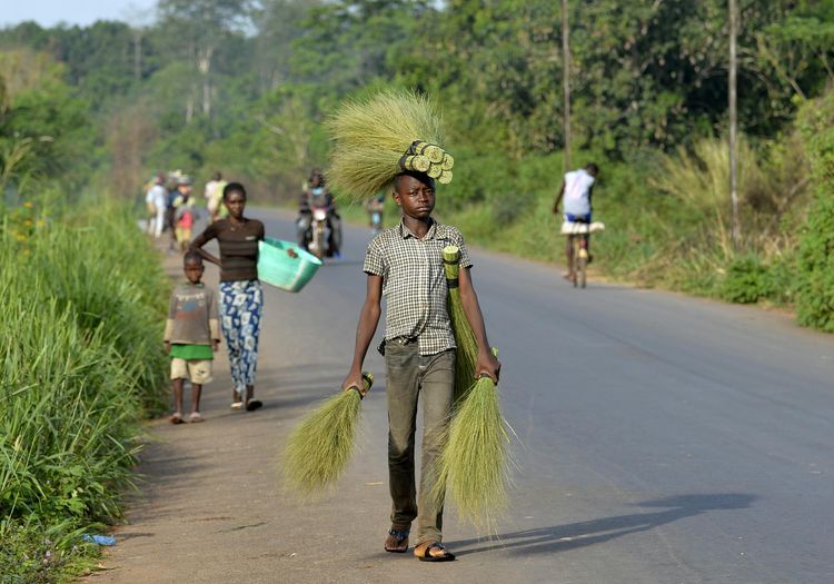 Centrafrique l ONU appelle à une vaste opération humanitaire