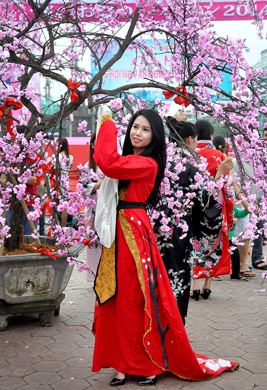 Young people in Ha Long city cheerful with cherry blossom festival