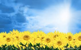 Weather in April comfortable for tourists