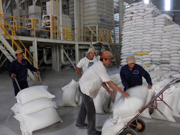 Vietnam wins rice export contract to Philippines