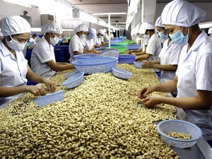 Agriculture, forestry and seafood exports see significant growth