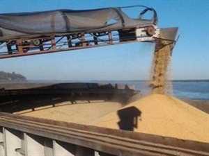 Vietnam largest importer of Argentinean soybean