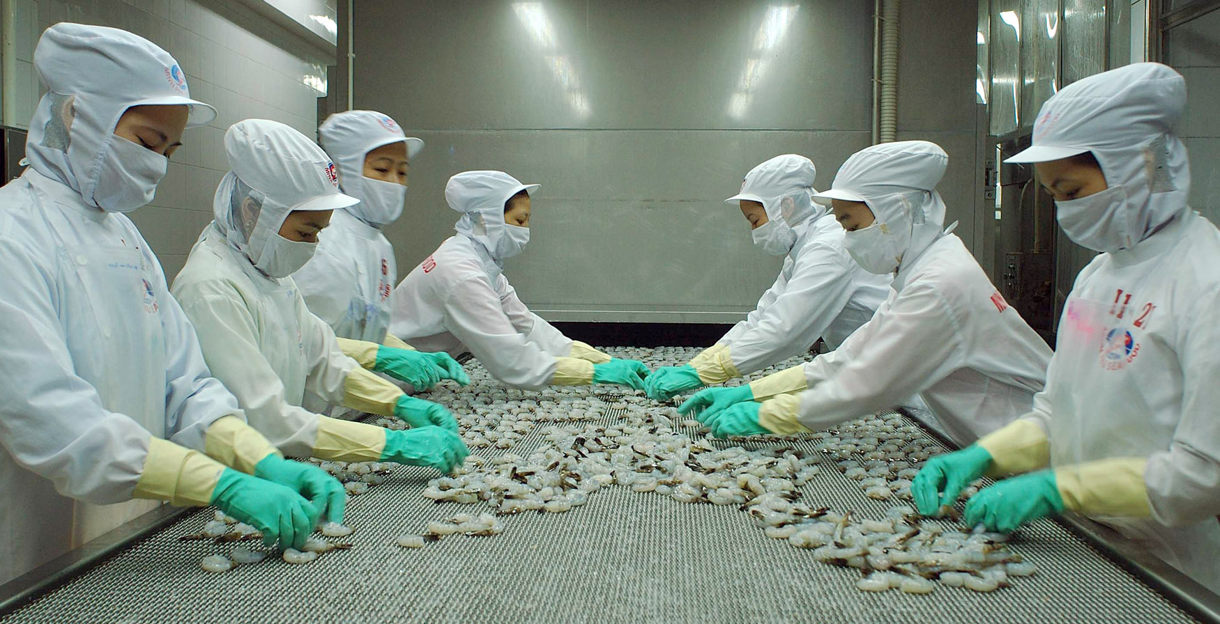 Vietnam’s exports to Egypt rise sharply