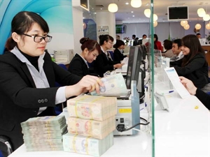 Ho Chi Minh city, Guangdong want to boost cooperation