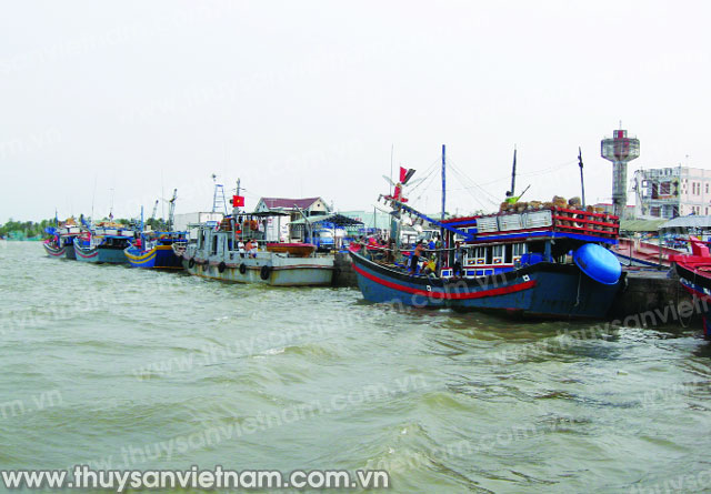 Sóc Trăng hỗ trợ đánh bắt xa bờ để bảo vệ nguồn lợi thủy sản