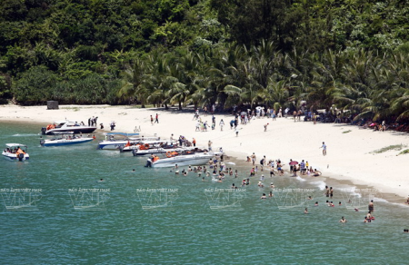 Cù Lao Chàm, la nouvelle vitalité d’une île verte