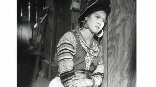Films about Dien Bien Phu to be screened in Laos next week