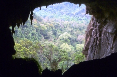 39 additional caves discovered in Phong Nha – Ke Bang National Park