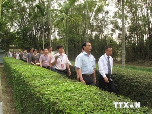 Activités en l honneur du 124e anniversaire du Président Ho Chi Minh