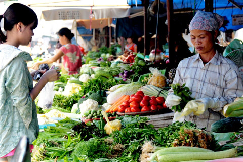 Hanoi CPI declines 0 07 in May