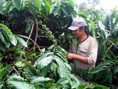 Vietnam’s agriculture, aquaculture, forestry exports up 10 4 percent