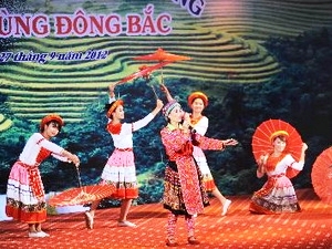 Bac Kan accueillera la 9e fête culturelle, sportive et touristique des ethnies de la région Nord-Est 2015