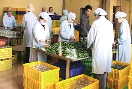 Dong Nai’s export turnover up 17