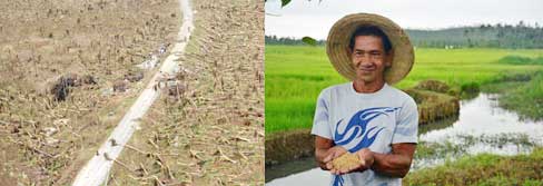 Liên hợp quốc kêu gọi quốc tế tiếp tục hỗ trợ Philippines tái thiết sau bão Haiyan