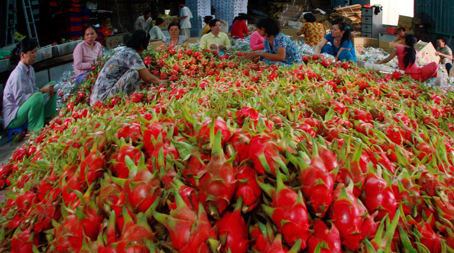 Export turnover to Laos enjoys rises