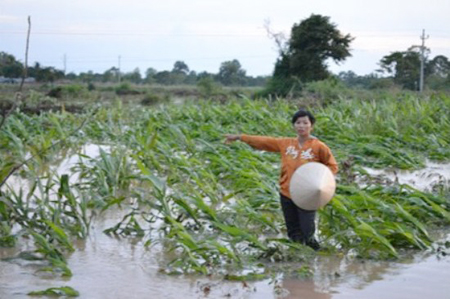 Sớm hoàn thành bồi thường cho người dân bị ảnh hưởng bởi thuỷ điện Sêrêpốk 4A
