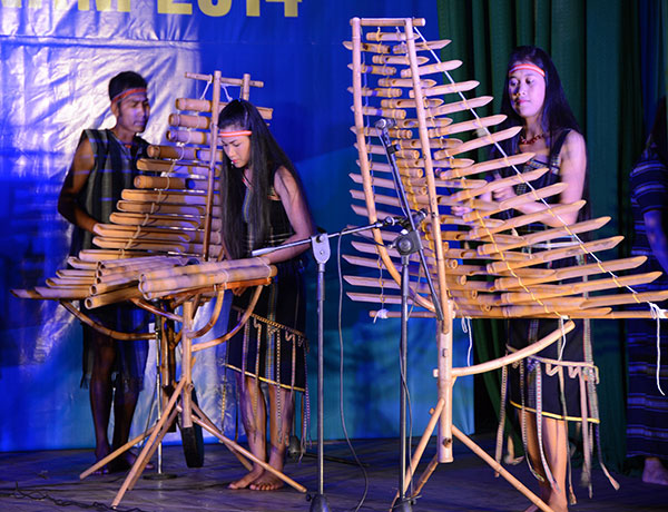 Traditional musical instrument festival 2014 opens in Da Lat