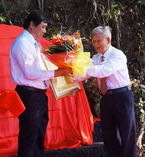 Banyan tree in Da Nang receives cultural recognition